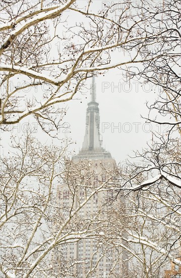 Snow covered tree branches, Empire State Building in background.