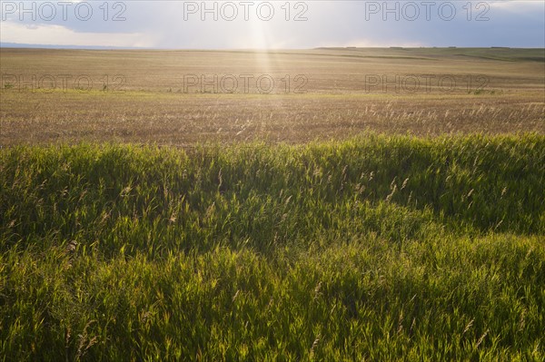 Buffalo Gap National Grasslands, Field at sunset.