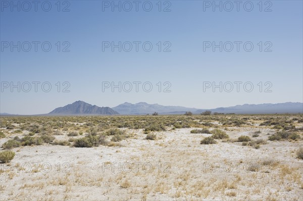 Desert landscape. Photo : Chris Hackett