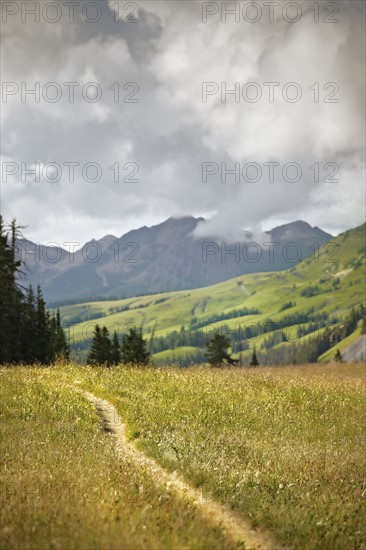 Track through mountains. Photo : Shawn O'Connor