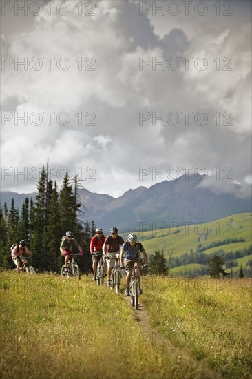 Men mountain biking on trail. Photo : Shawn O'Connor