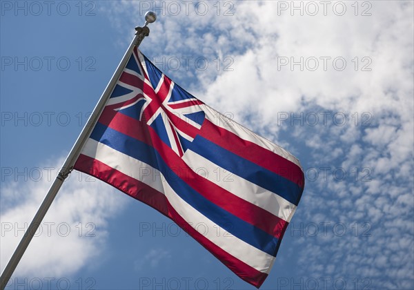 USA, Florida State flag against sky.