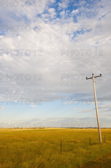 Telephone pole in prairie.