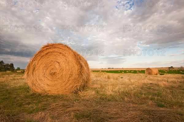 Straw bale on field.