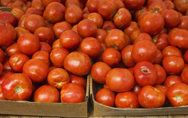 Close up of tomatoes in cardboard boxes.