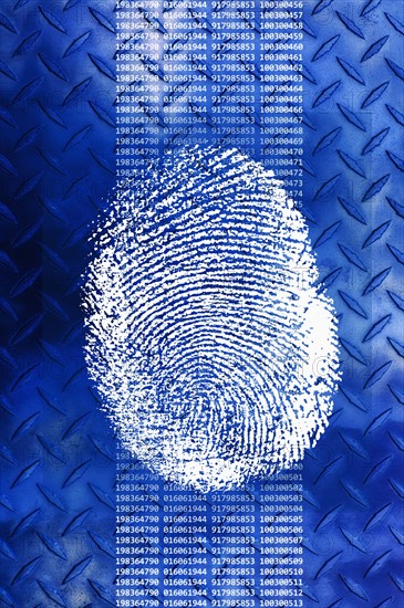 Close up of fingerprint on digital display.