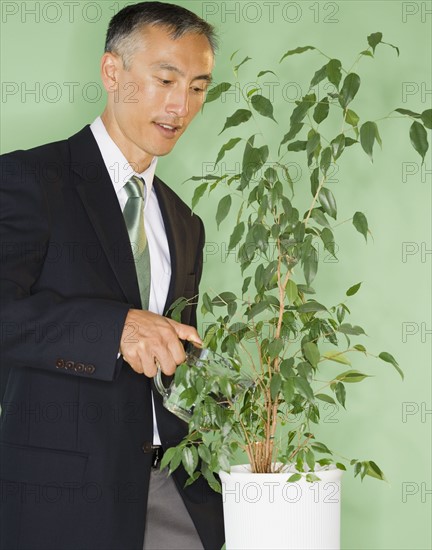 Businessman flowering potted plant, studio shot. Photo : Jamie Grill