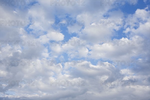 Alto Cumulus clouds. Photo : Chris Hackett