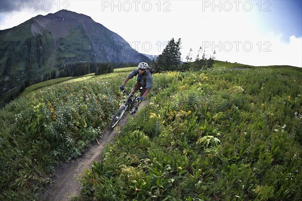 Man mountain biking on trail. Photo : Shawn O'Connor