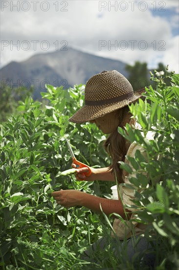 Young woman gardening. Photo : Shawn O'Connor