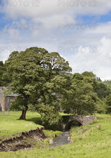 Trees by stream. Photo : Jon Boyes