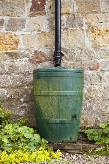 Water barrel by stone wall . Photo : Jon Boyes