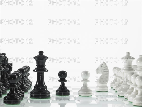 Black and white chess teams. Photo : David Arky