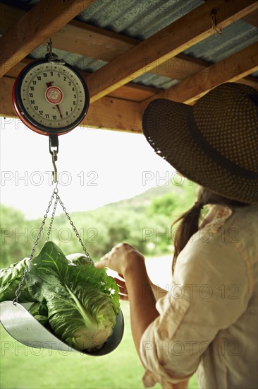 Young woman weighing cabbages. Photo : Shawn O'Connor