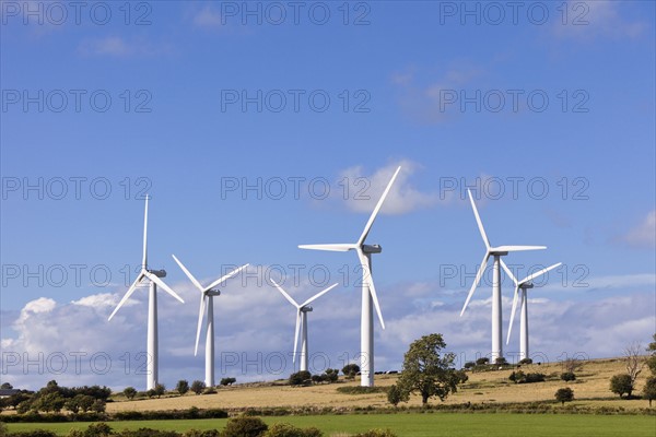 Wind turbines in field. Photo : Jon Boyes