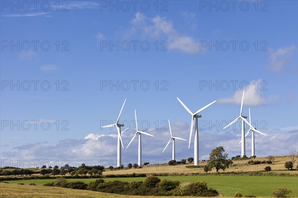 Wind turbines in field. Photo : Jon Boyes
