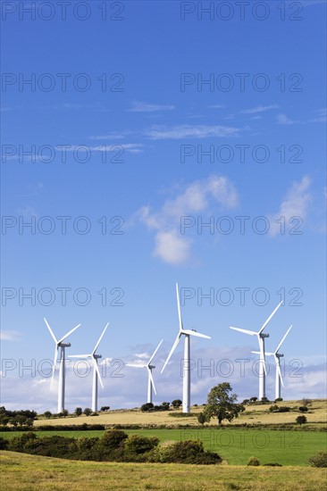 Wind turbines in field. Photo : Jon Boyes