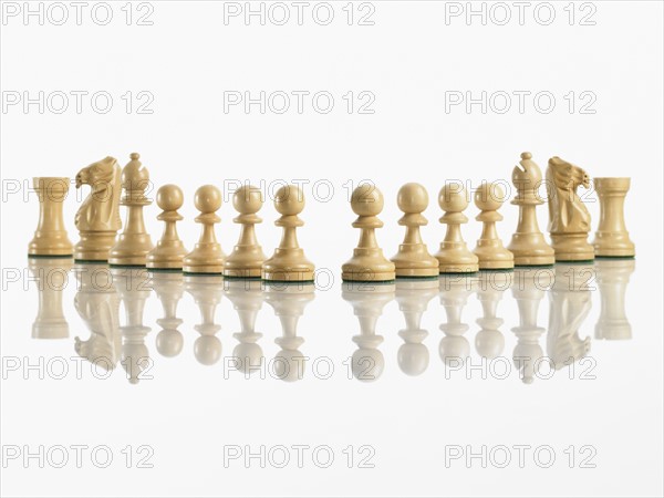 Team of chess pieces. Photo : David Arky