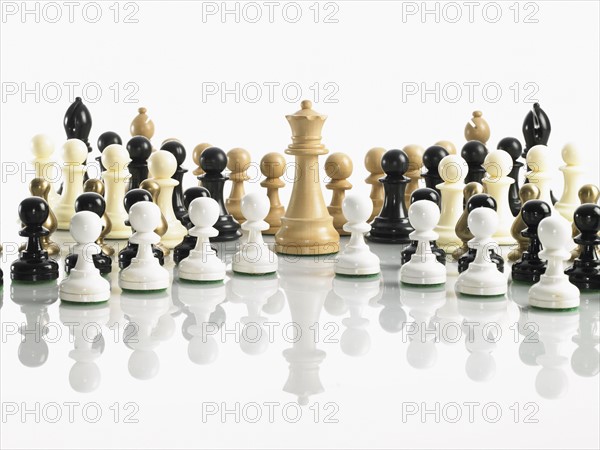 King with mixed teams of chess pieces. Photo : David Arky