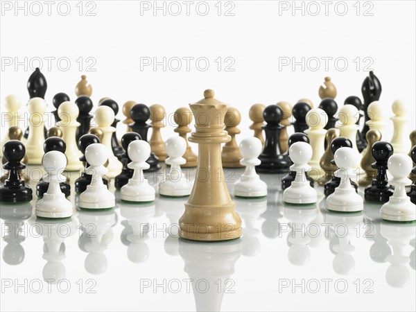 Queen with mixed teams of chess pieces. Photo : David Arky