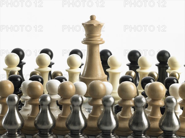 Queen with mixed teams of pawns. Photo : David Arky