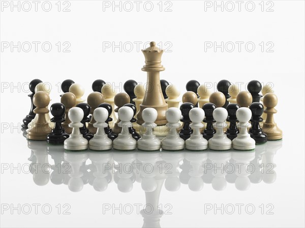 Queen with mixed teams of pawns. Photo : David Arky