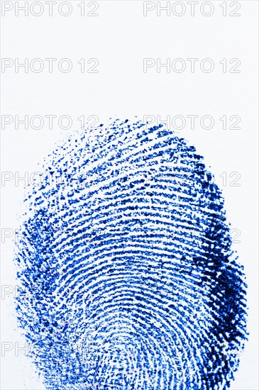 Close up of fingerprint on white background.