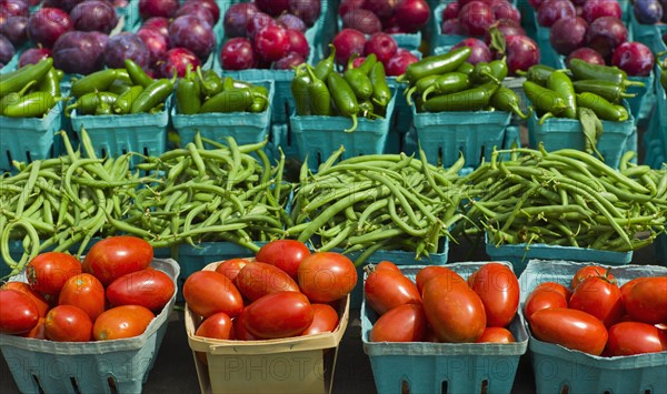 Vegetables and fruits in boxes.