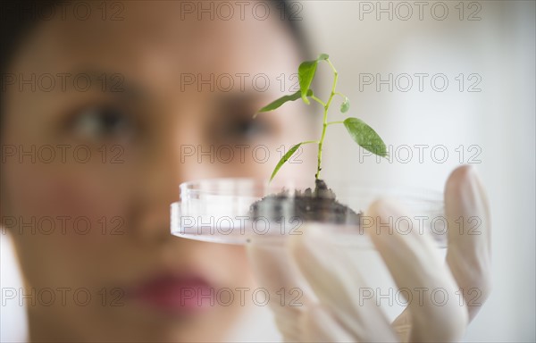 USA, New Jersey, Jersey City, Female scientist holding seedling in petri dish.