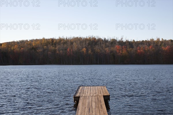 USA, Pennsylvania, Calicoon, Wooden pier at lake. Photo : David Engelhardt