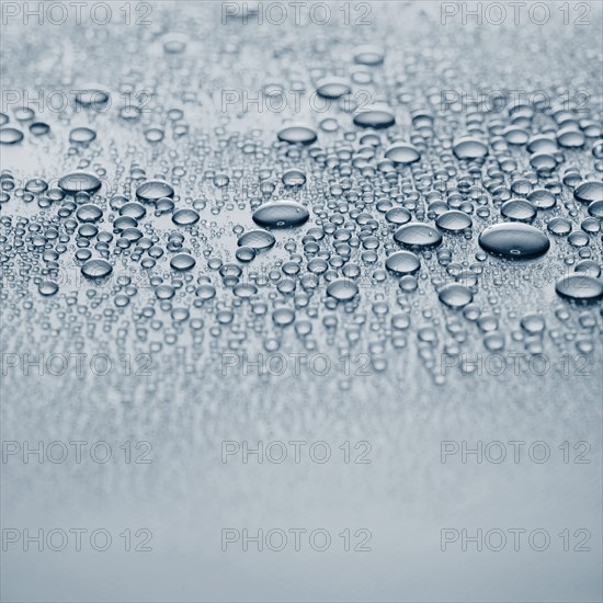 Close-up of wet surface. Photo : David Arky