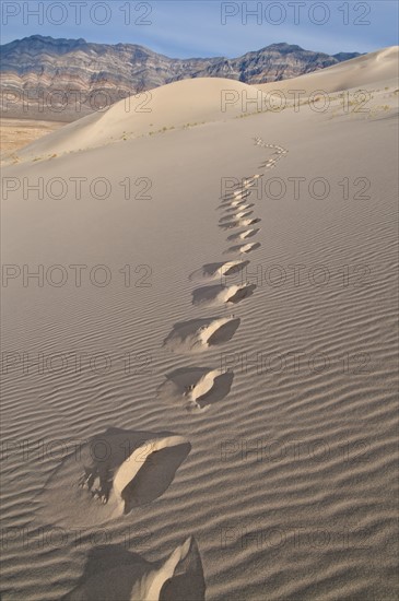 USA, California, Footprints of desert dune. Photo : Gary J Weathers