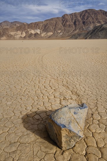 USA, California, Moving rock in desert . Photo : Gary J Weathers