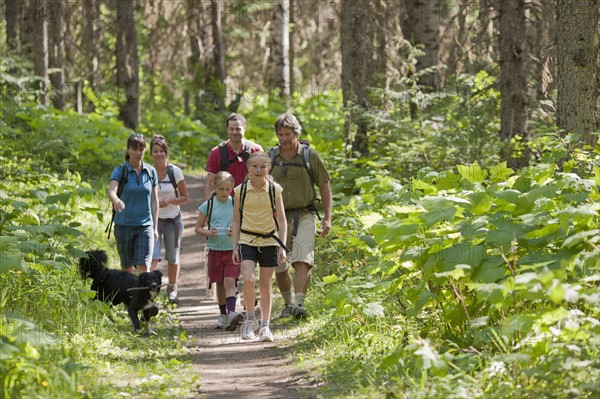 Canada, British Columbia, Fernie, family and dog hiking in forest. Photo : Dan Bannister