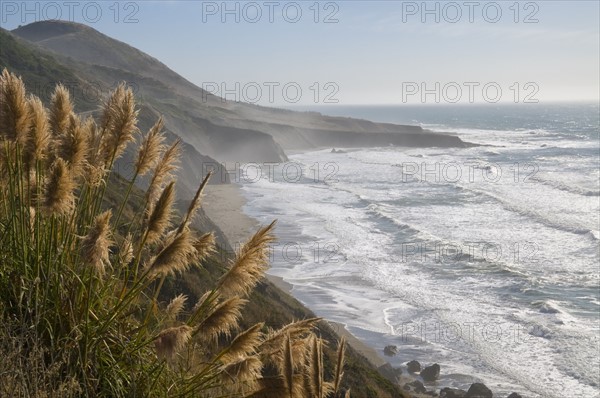 USA, California, Mendocino Coast. Photo : Gary J Weathers