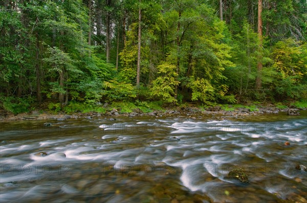 USA, California, Yosemite National Park, Merced River. Photo : Gary J Weathers