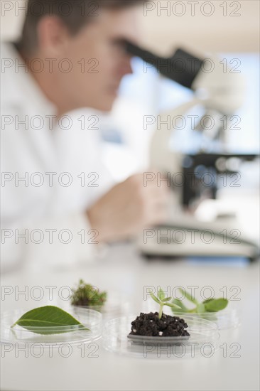 USA, New Jersey, Jersey City, Botanic laboratory.