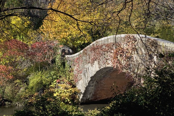 USA, New York City, Central Park footbridge. Photo : fotog