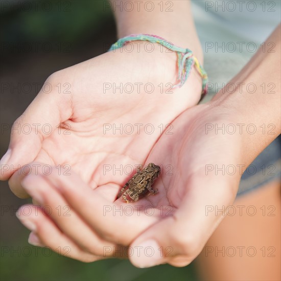 USA, New York, Girl (10-11) holding small frog. Photo : Jamie Grill Photography