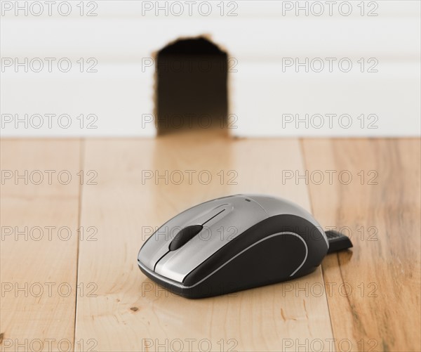 Computer mouse on floor in front of mouse hole. Photo : Mike Kemp