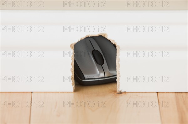 Computer mouse hidden in mouse hole. Photo : Mike Kemp
