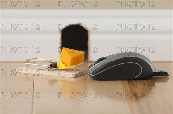 Computer mouse and mousetrap with cheese in front of mouse hole. Photo : Mike Kemp