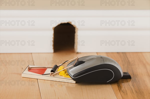 Computer mouse trapped in mousetrap. Photo : Mike Kemp