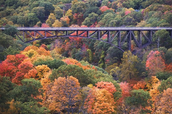 USA, New York, Bear Mountain, bridge in forest. Photo : fotog