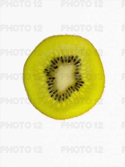 Studio shot of cross section of kiwi fruit. Photo : David Arky