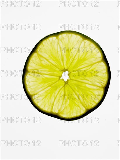 Studio shot of slice of lemon. Photo : David Arky