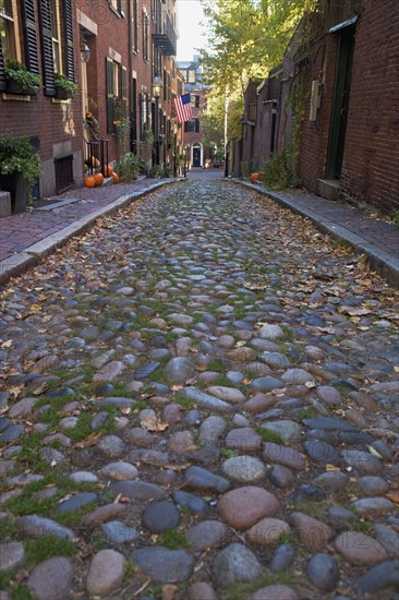 USA, Massachusetts, Boston, Beacon Hill, cobblestoned alley. Photo : fotog