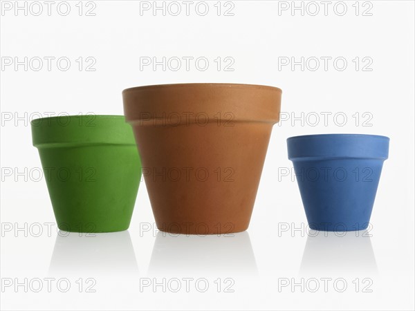 Studio shot of flower pots. Photo : David Arky
