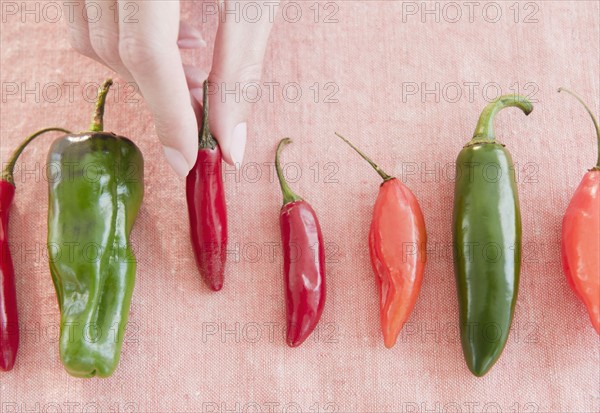 USA, New Jersey, Jersey City, Close-up view of woman's hand with chili peppers. Photo : Jamie Grill Photography