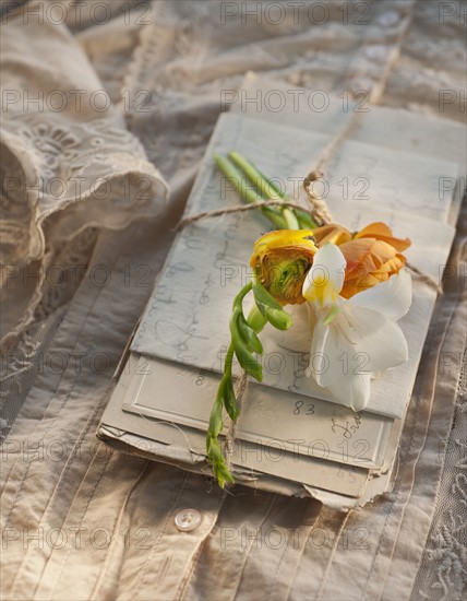 Flowers on pile of letters.